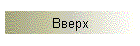 Вверх